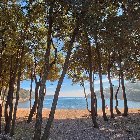 فندق Duga Uvala Pavicini