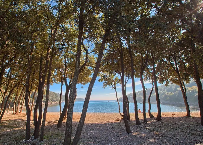 Hotel Duga Uvala Pavicini