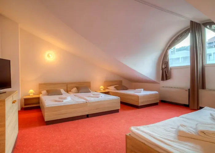 Hotel Duga Uvala Pavicini