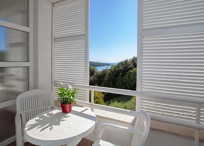 ホテル Duga Uvala Pavicini